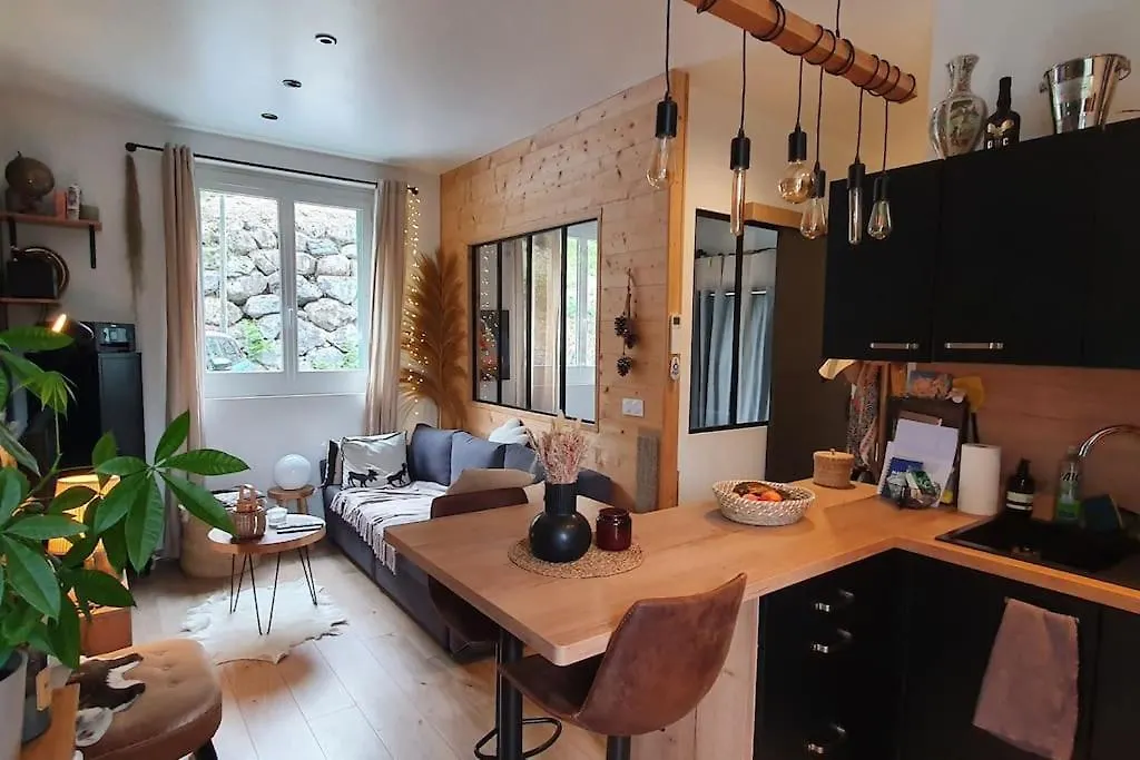 Appartement Appart Renove Au Calme Belle Vue Saint-Savin  France