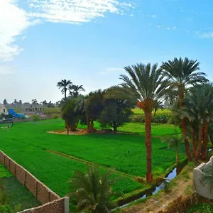 farida-apartments.hotels-luxor-egypt.com/